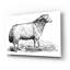  «Ewe» par Art Licensing Studio, art mural en verre acrylique, 24 po x 16 po-865398869