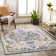 Fleeman Oriental Indoor Rug