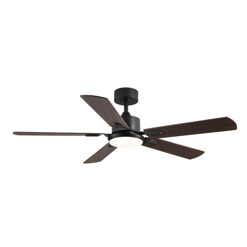 Ventilateur de plafond standard à DEL 5 pales 52 po avec télécommande et ensemble d'éclairage pour salon