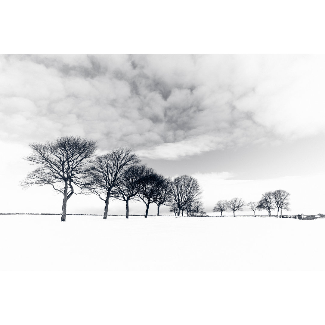 Winter Trees von Duncan1890 - Druck auf Leinwand ohne Rahmen