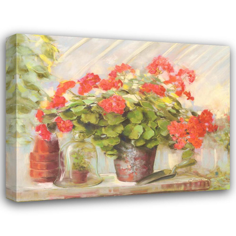 Potting Geraniums, 19" H x 24" W