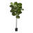 Faux Fiddle Leaf Fig Tree in Pot Liner-884255498
