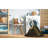 Indoor Rug-1213526650
