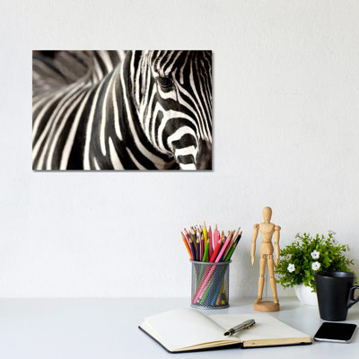 Zebra V by Goran Anastasovski - Wrapped Canvas Print