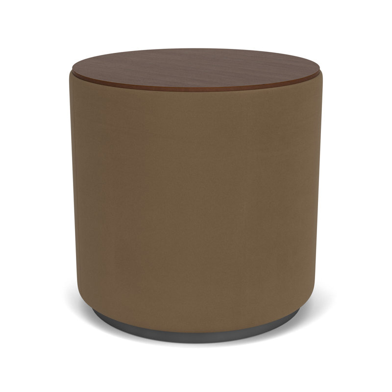 Table de réception avec plateau en stratifié Darsey, Gris anthracite; taupe Patriot Plus, Noyer Riftwood, 20"