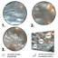 Sparkling Silver Dandelion Dreams II - Pissenlit, art mural-1288028106-1288028111