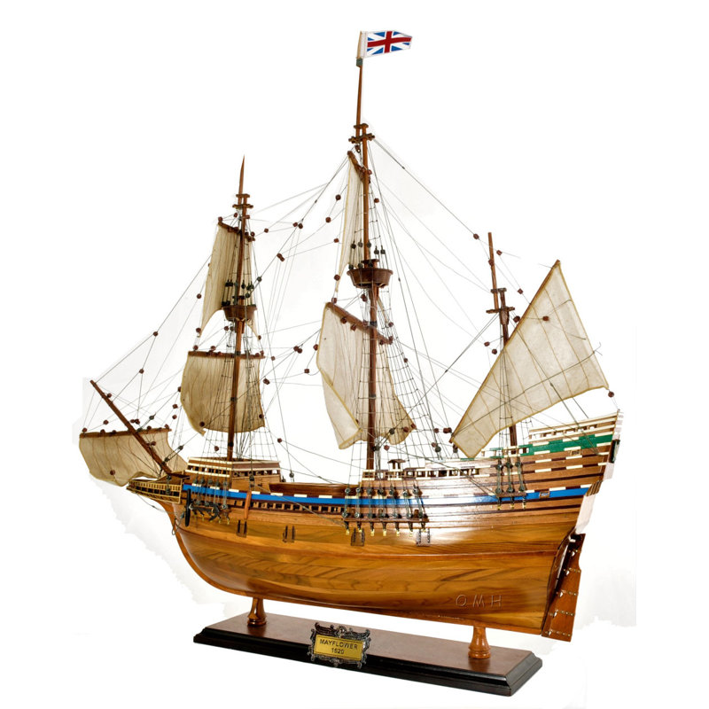 Mayflower de haute qualité Guadalupe