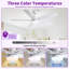 Ventilateur de plafond moderne de 52 po avec lumière et 5 pales-109078899