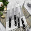 Zwilling Gourmet 4-piece Steak Knife Set