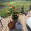 Photos des clients 1 de 1
