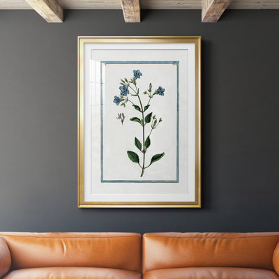 Shabby Elegance Botanical II, reproduction encadrée de qualité supérieure - prête à être accrochée