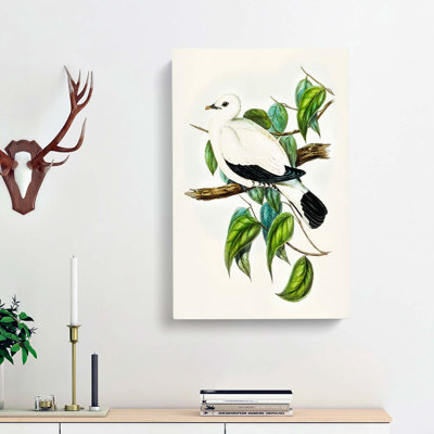 Torres Strait Fruit Pigeon by Elizabeth Gould - Wrapped Canvas Painting