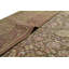 Oriental Area Rug in Brown