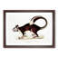 Large-Tailed Squirrel Illustration by John Edward Gray - Picture Frame Painting Print-55581998-55581999