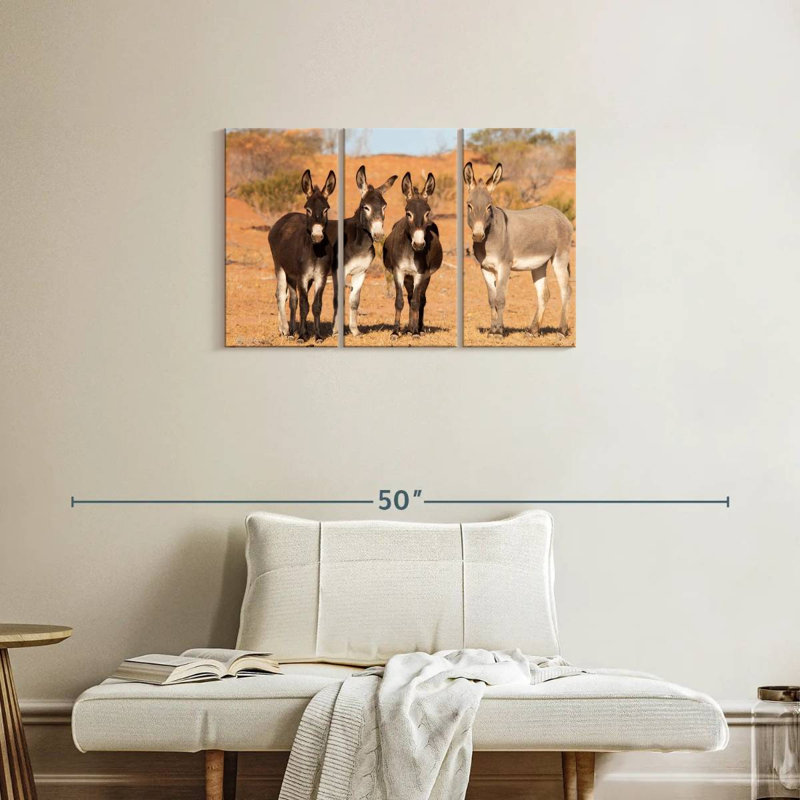 Ânes de Brampt dans l’Outback australien, H 20 po x l 33 po