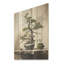Zen Zen Bonzai II - Bonsaï sur bois-1641238063