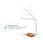 Lampe de bureau 12 po