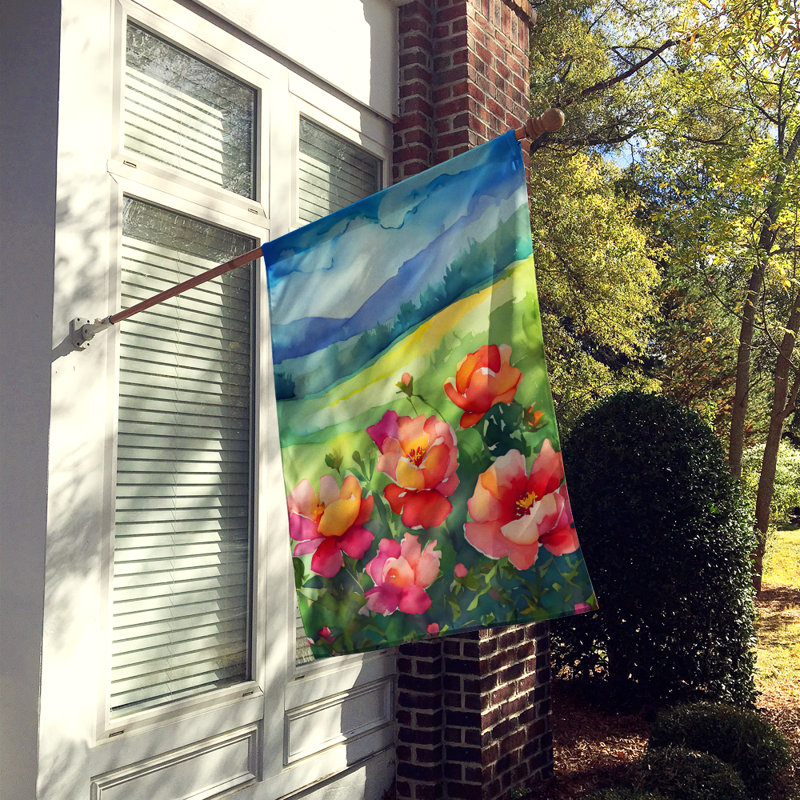 Double Sided 40'' H x 28'' W Polyester House Flag