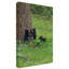 Fillmer «3 Black Bear Cubs», reproduction de photo sur toile tendue-30364389