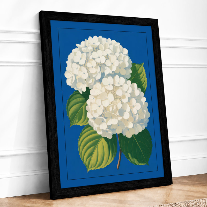 Hydrangea In Blue Botanical - Print, Black, A3 - 42.0 x 29.7 cm