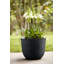 Plant Pot-72816988-72816990