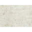 Muted Beige Traditional 7X11 Oriental Area Rug