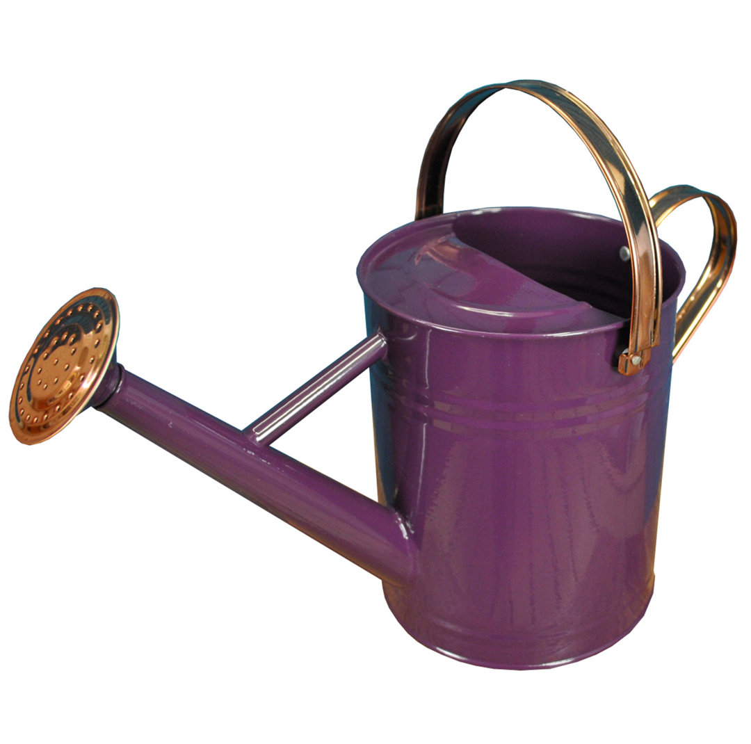 Metal Watering Can