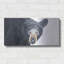 «Black Bear» par Diane Fifer-1714350542