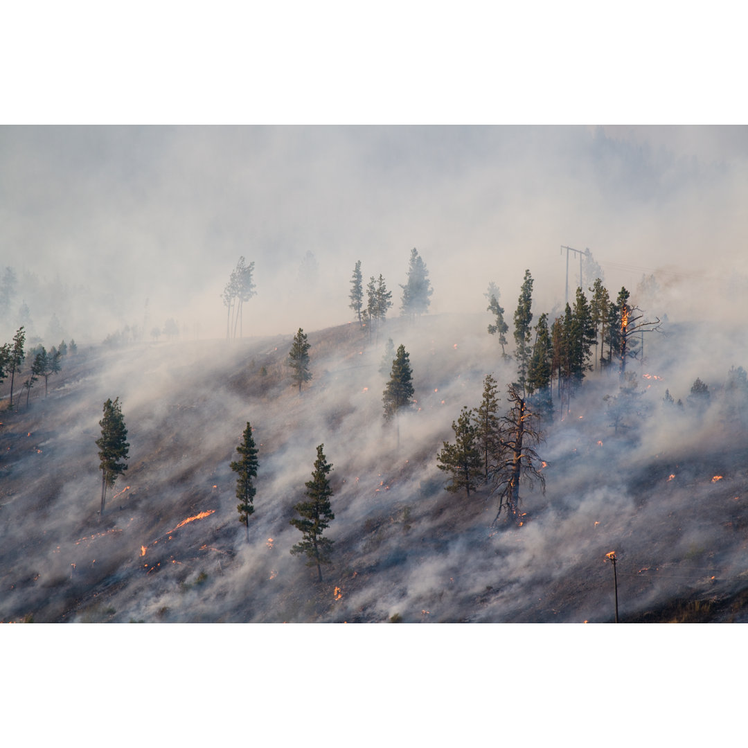 Montana Forest Fire von Robh - Leinwandbild im Wrapped Format