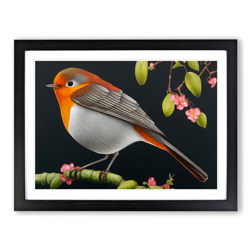 Spellbinding Robin Bird - Single Picture Frame Print, 25cm H x 34cm W x 2cm D