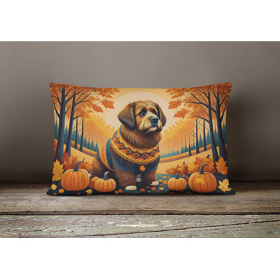 Other/No Pattern Throw Pillow