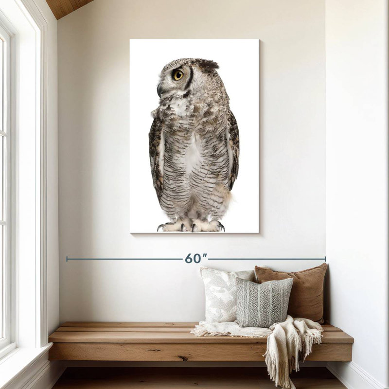 Brampt Owl Looking Sideways, 45" H x 30" W