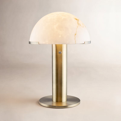 Delway Iron Novelty Lamp