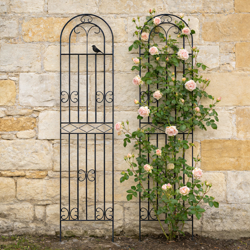 Panneaux arqués en métal pour treillis de jardin en métal pour vignes grimpantes (ensemble de 2)