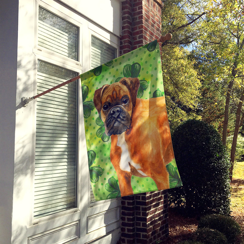 40 x 28 po en polyester à 2 côtés de la st patrick drapeau maison, Boxer brun