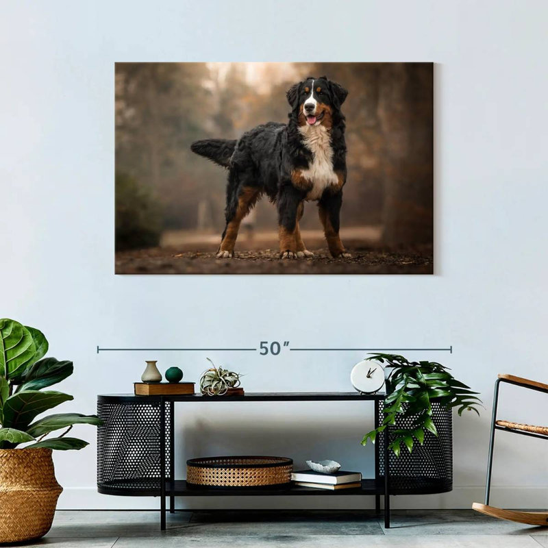 Brampt Bernese Mountain Dog, 30" H x 45" W