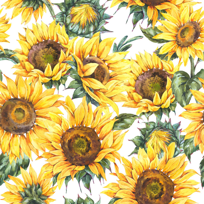 Tournesol jaune Shandel par Varvara Kurakina, H 12 po x l 12 po