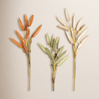 Okra Stem