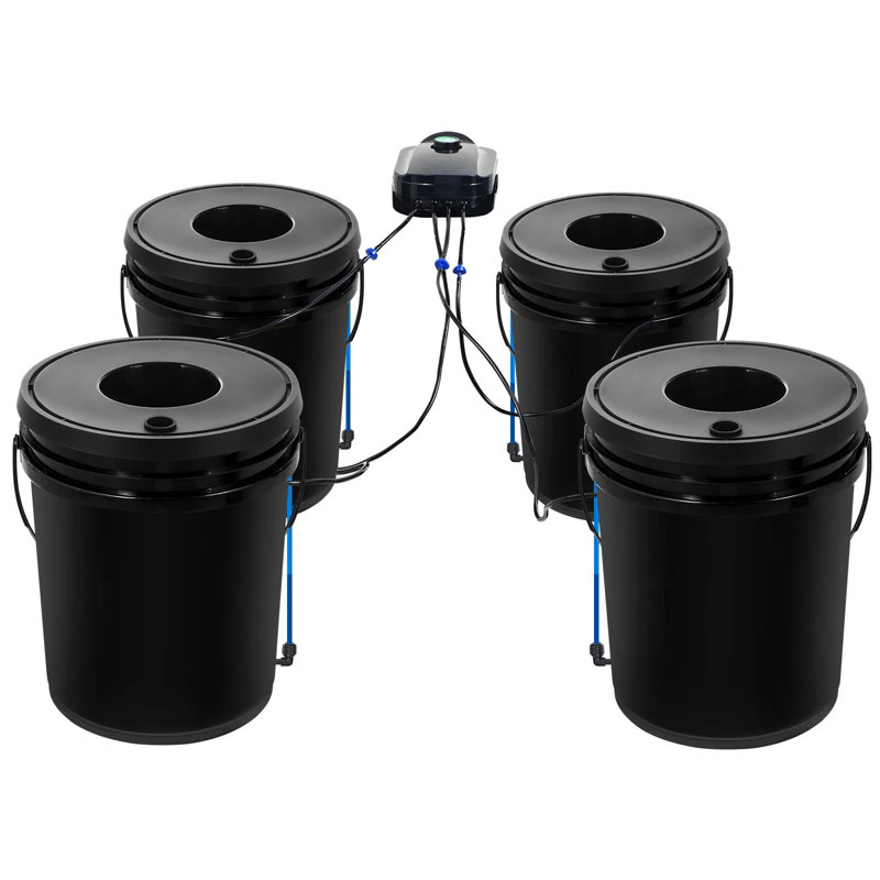DWC Hydroponic System 5 Gal, 4 Buckets