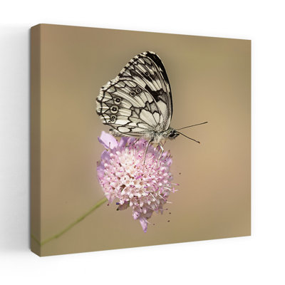 Art contemporain, art floral avec papillons