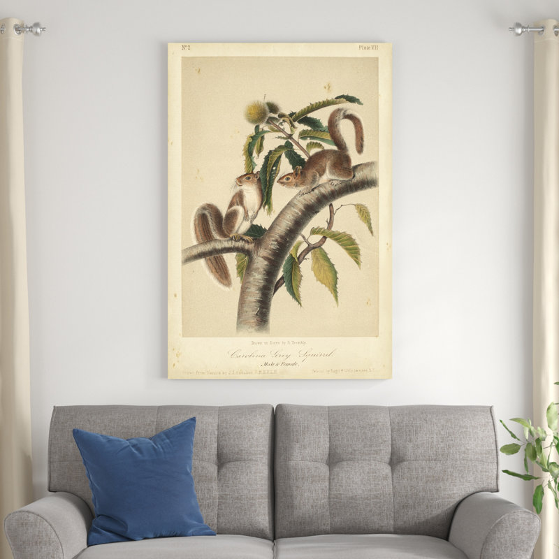 Écureuil Audubon I, H 48 po x l 32 po x P 1,25 po