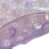 Purple is out of stock selected