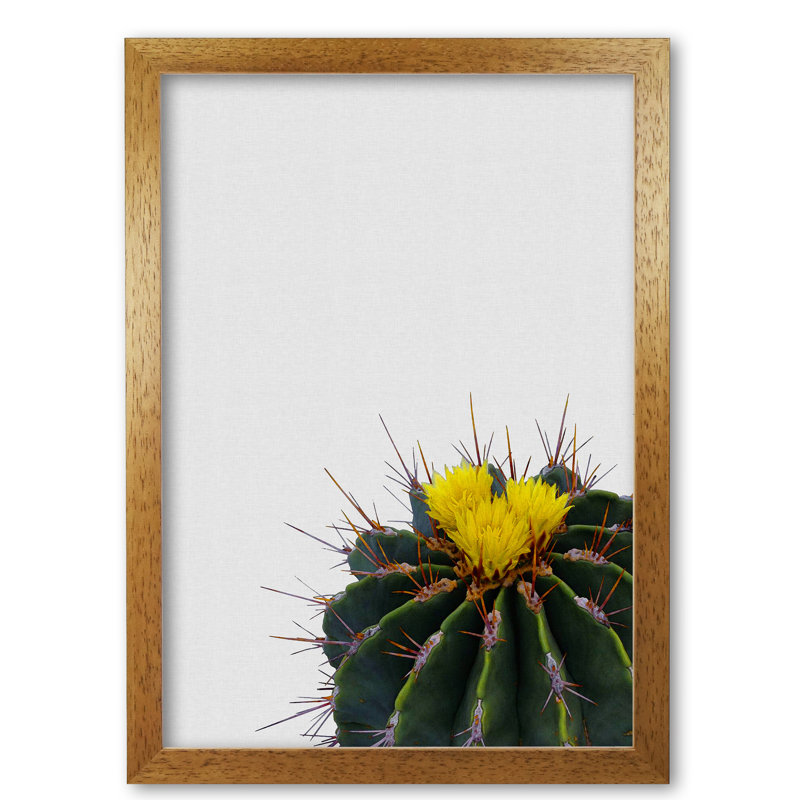 Flower Cactus - Print, 42 cm H x 30 cm W x 5 cm D, Honey Oak Frame
