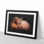 Highland Cow In The Shadows Paint Splash - Picture Frame Graphic Art on MDF-56866707-56866705