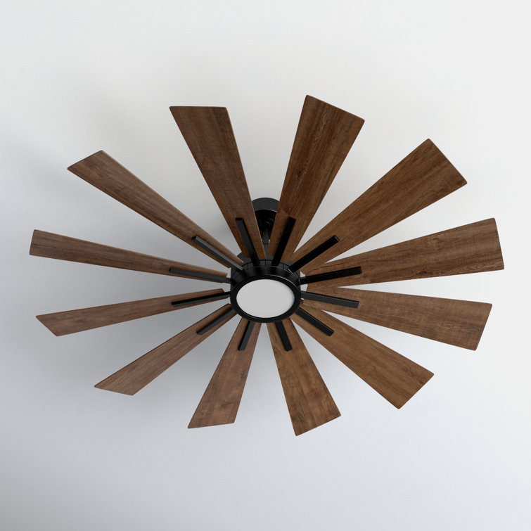 Archibald 60'' Ceiling Fan with LED Lights