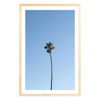 Plants & Flowers Print