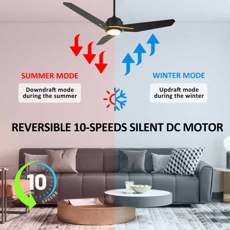  48'' Smart DC Motor Ceiling Fan with LED Lights and Remote Control