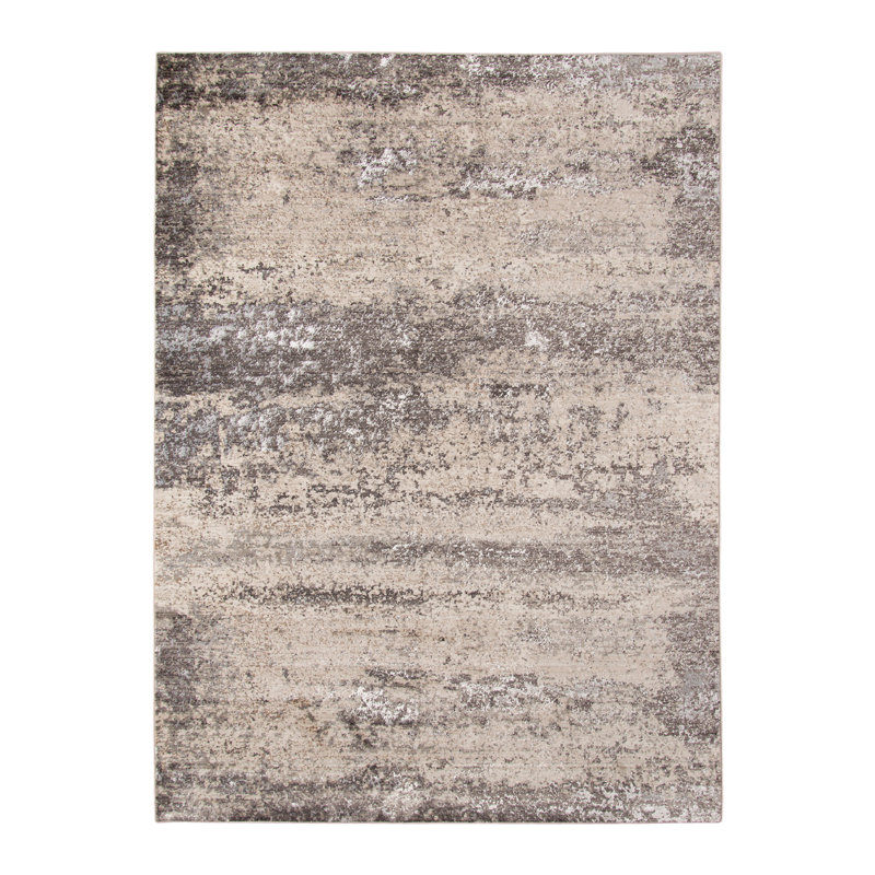 Tapis sable argenté à motif abstrait Bonvey, Rectangle 2 pi x 3 pi 3 po