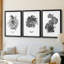 B&W Plante d'intérieur I - Impression encadrée sur mesure de qualité supérieure - 3 pièces-1042951806-1042951804