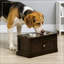 Aliment pour animaux de compagnie